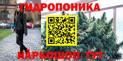 мяу мяу мука Ирбит