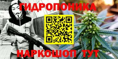 мяу мяу мука Ирбит
