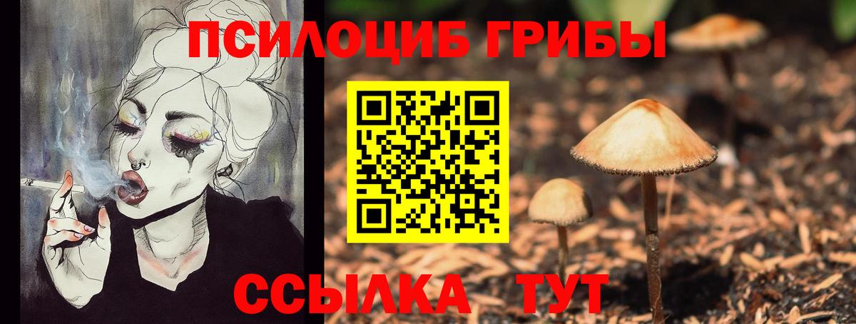 Краснодар  Галлюциногенные грибы ЛСД  Вход с VPN  Галлюциногенные грибы мухоморы 